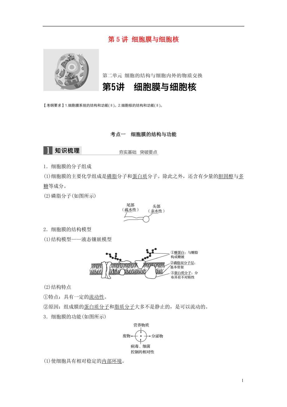 新2017高考生物一輪復(fù)習(xí) 第二單元 細(xì)胞的結(jié)構(gòu)與細(xì)胞內(nèi)外的物質(zhì)交換 第5講 細(xì)胞膜與細(xì)胞核學(xué)案（含解析）北師大版_第1頁(yè)