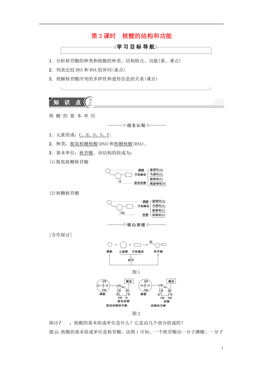 2016-2017學(xué)年高中生物 第2章 細(xì)胞份化學(xué)組成 第2節(jié) 細(xì)胞中的生物大分子（第3課時(shí)）核酸的結(jié)構(gòu)和功能學(xué)案 蘇教版必修1_第1頁(yè)