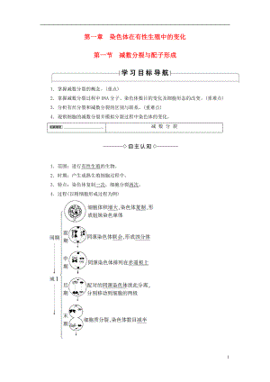 2016-2017版高中生物 第1單元 遺傳與變異的細(xì)胞學(xué)基礎(chǔ) 第1章 染色體在有性生殖中的變化 第1節(jié) 減數(shù)分裂與配子形成學(xué)案 中圖版必修2