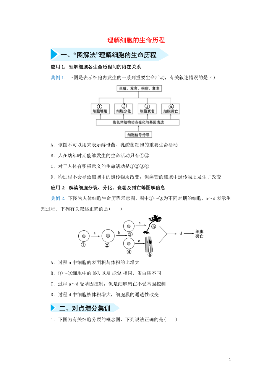 2020届高三生物 精准培优专练九 理解细胞的生命历程（含解析）_第1页