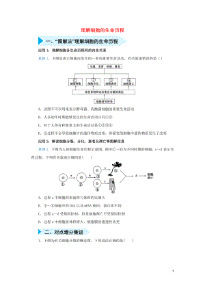 2020屆高三生物 精準培優(yōu)專練九 理解細胞的生命歷程（含解析）