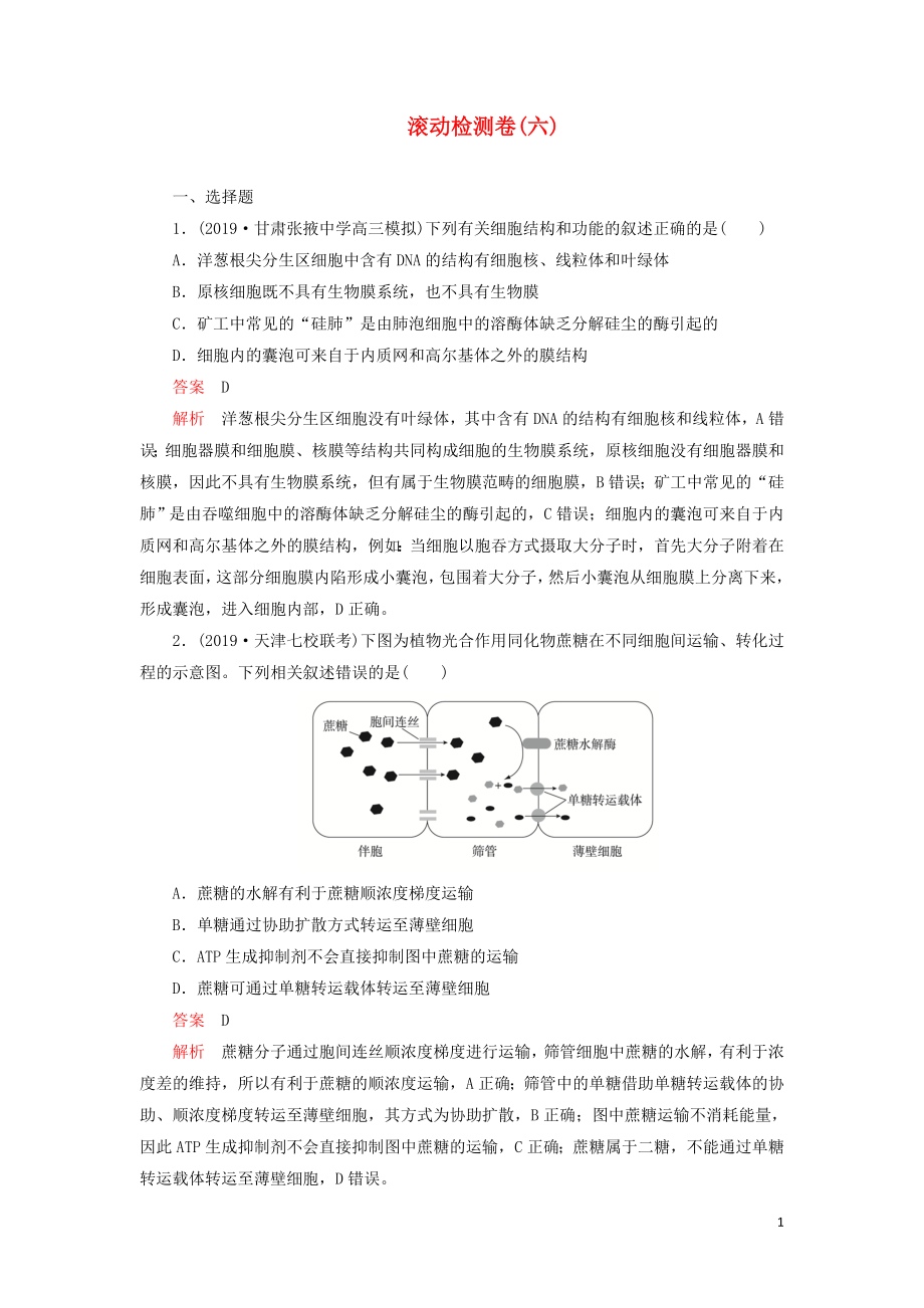 2020年高考生物 刷題1+1（2019高考題+2019模擬題）滾動(dòng)檢測卷（六）（含解析）_第1頁