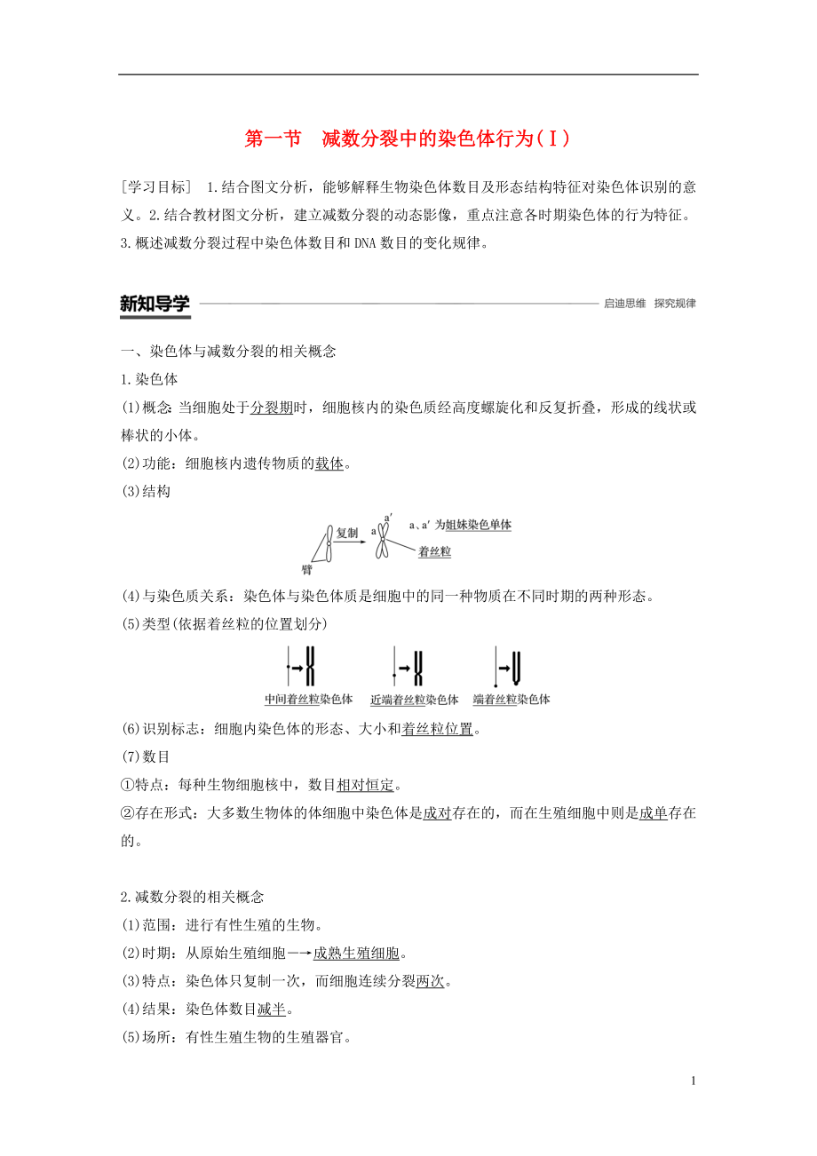 2018-2019學(xué)年高中生物 第二章 染色體與遺傳 第一節(jié) 減數(shù)分裂中的染色體行為（Ⅰ）學(xué)案 浙科版必修2_第1頁(yè)