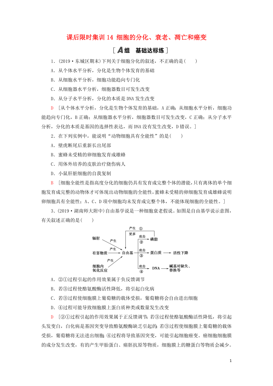 2021版高考生物一轮复习 课后限时集训14 细胞的分化、衰老、凋亡和癌变 苏教版_第1页