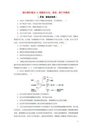 2021版高考生物一輪復(fù)習(xí) 課后限時(shí)集訓(xùn)14 細(xì)胞的分化、衰老、凋亡和癌變 蘇教版