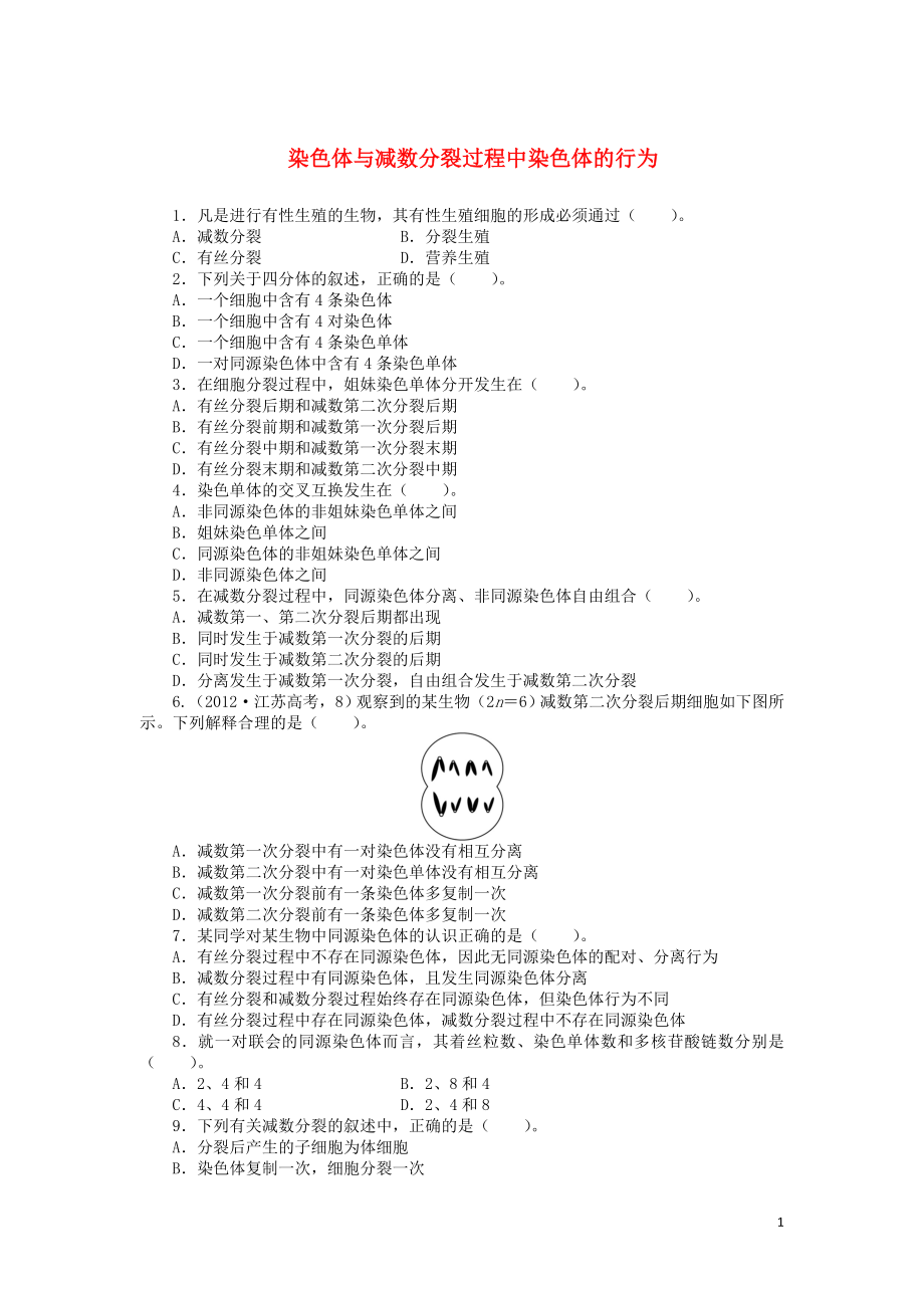 高中生物 第二章 第一節(jié) 減數(shù)分裂中的染色體行為 第一課時訓練（含解析）浙科版必修2_第1頁