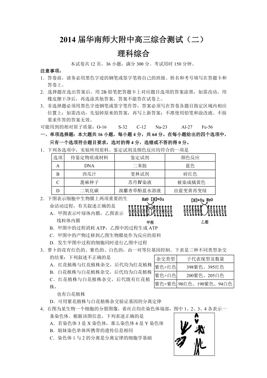 理综2014届华南师大附中高三综合测试_第1页