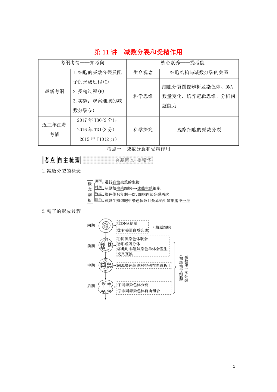 （江蘇專用）2020版新高考生物 第四單元 細(xì)胞的生命歷程 第11講 減數(shù)分裂和受精作用學(xué)案_第1頁