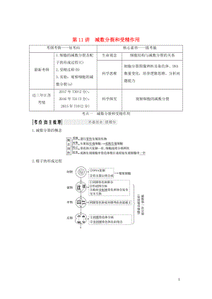 （江蘇專用）2020版新高考生物 第四單元 細(xì)胞的生命歷程 第11講 減數(shù)分裂和受精作用學(xué)案