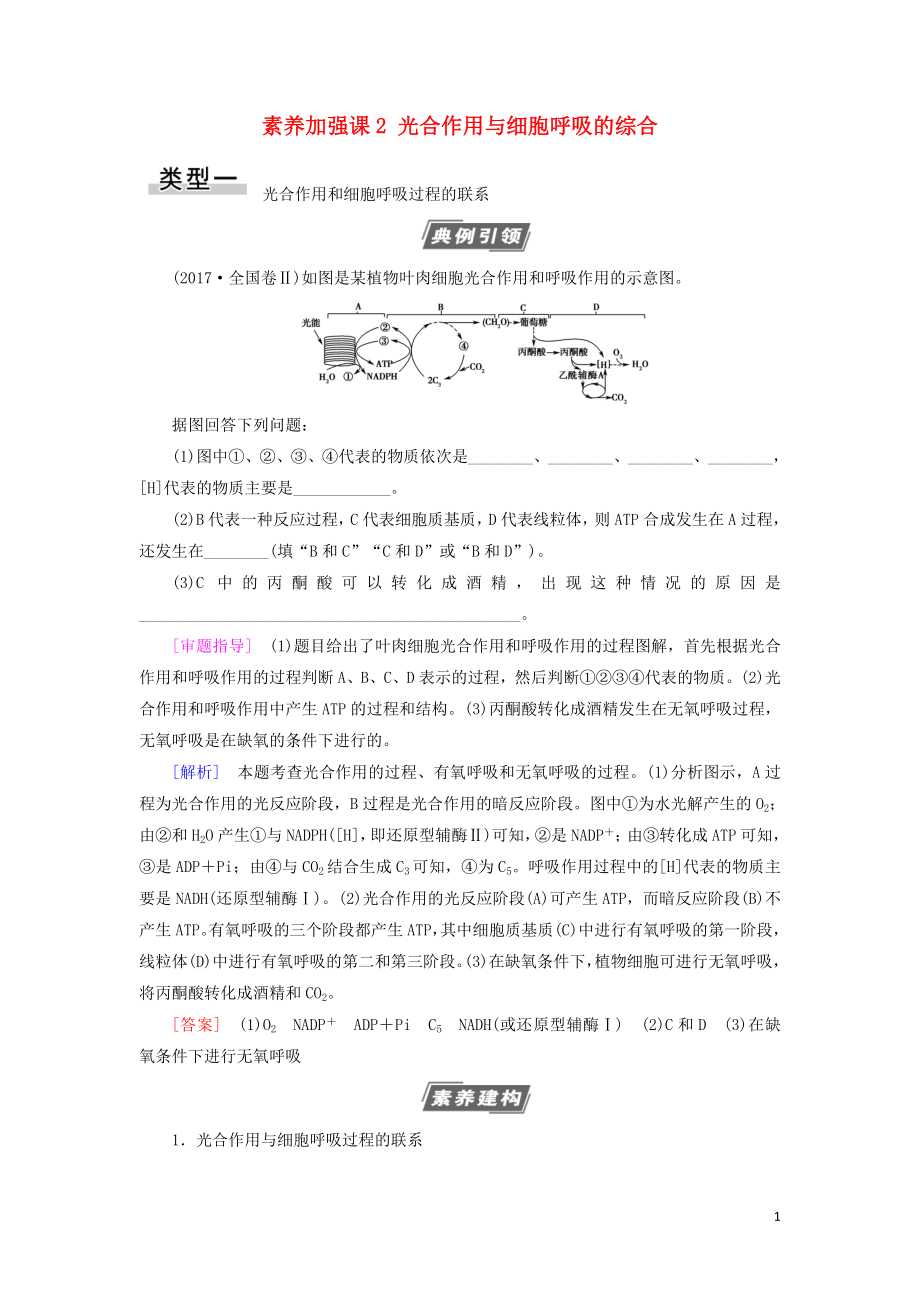 2021版高考生物一輪復習 第3單元 細胞的能量供應和利用 素養(yǎng)加強課2 光合作用與細胞呼吸的綜合學案 蘇教版必修1_第1頁