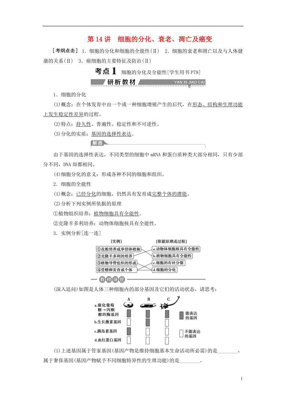 （全國）2018版高考生物大一輪復習 第四單元 細胞的生命歷程 第14講 細胞的分化、衰老、凋亡及癌變學案_第1頁