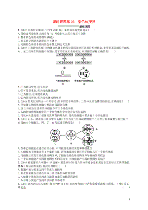 2020版高考生物大一輪復(fù)習(xí) 第7單元 生物的變異和進(jìn)化 課時(shí)規(guī)范練22 染色體變異 新人教版