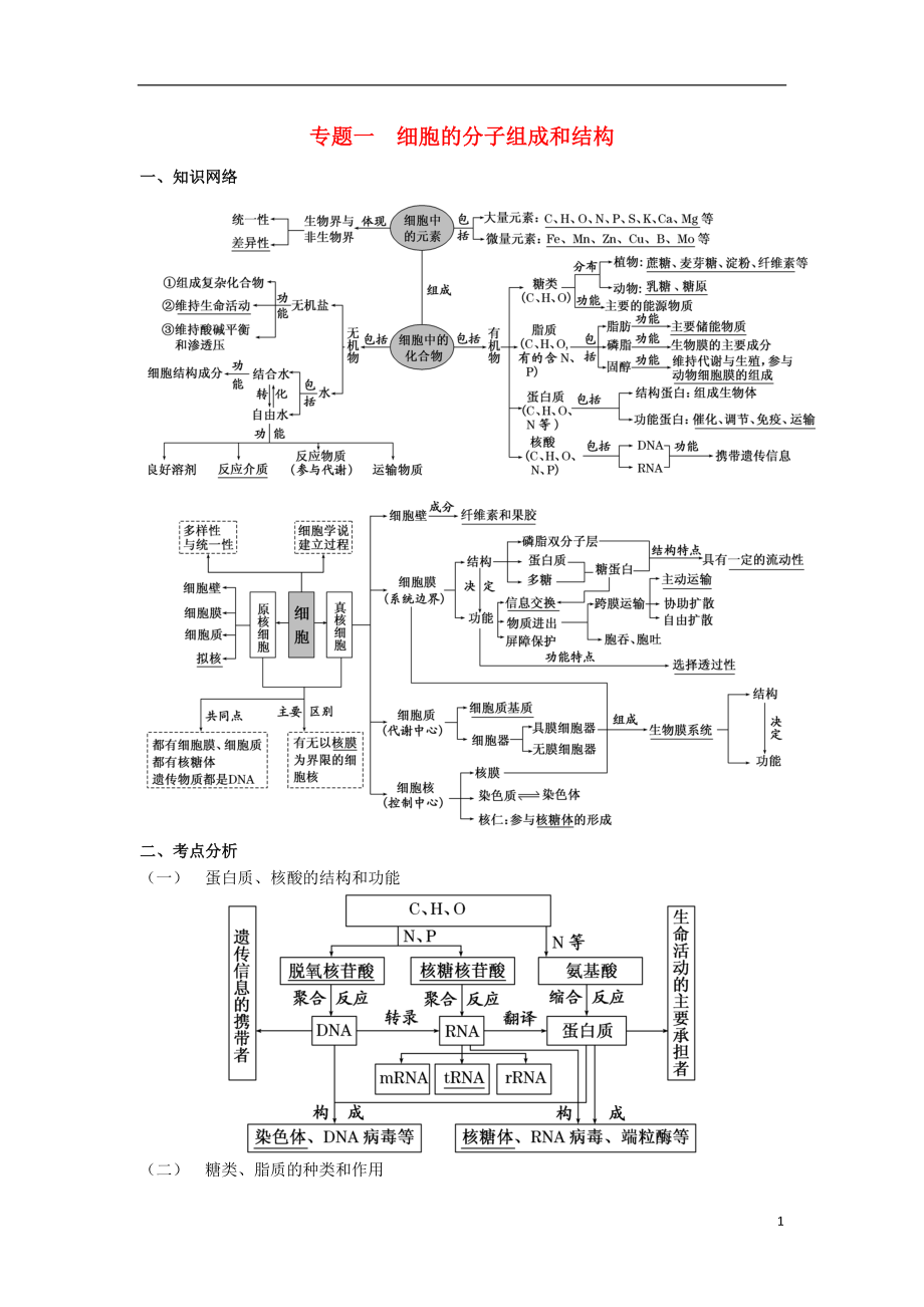 湖南省新田縣高三生物二輪復(fù)習 專題1 細胞的分子組成和結(jié)構(gòu)學案_第1頁