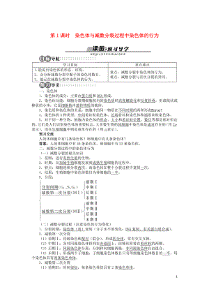 高中生物 第二章 第一節(jié) 減數(shù)分裂中的染色體行為 第一課時(shí)學(xué)案 浙科版必修2