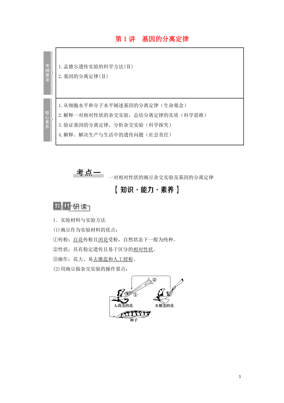 2021版高考生物一輪復習 第5單元 遺傳定律和伴性遺傳 第1講 基因的分離定律學案 蘇教版必修2_第1頁