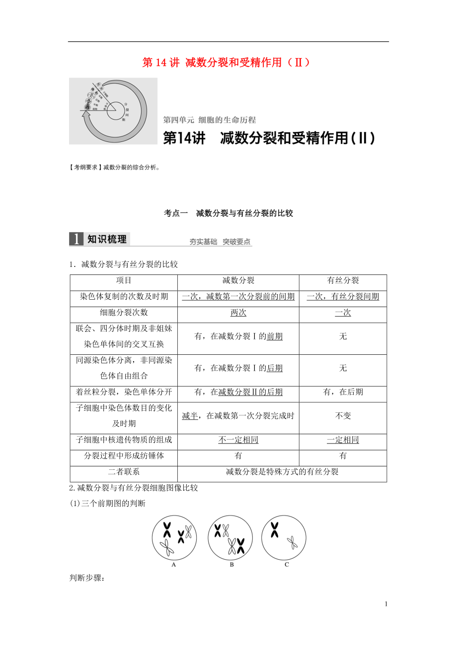 新2017高考生物一輪復習 第四單元 細胞的生命歷程 第14講 減數(shù)分裂和受精作用（Ⅱ）學案（含解析）北師大版_第1頁