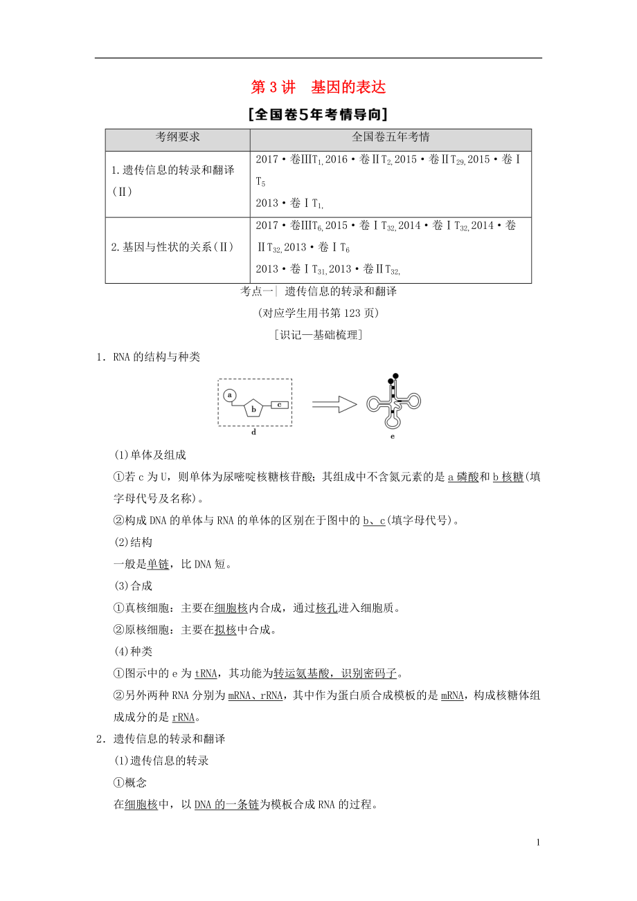 （全國(guó)版）2019版高考生物一輪復(fù)習(xí) 第6單元 遺傳的分子基礎(chǔ) 第3講 基因的表達(dá)學(xué)案_第1頁