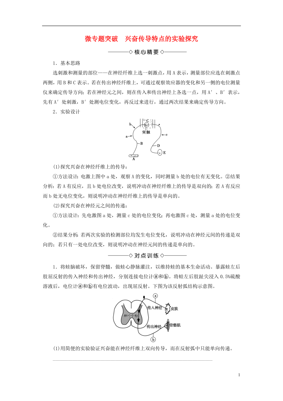 2018版高中生物 第二章 動(dòng)物和人體生命活動(dòng)的調(diào)節(jié) 微專題突破 興奮傳導(dǎo)特點(diǎn)的實(shí)驗(yàn)探究學(xué)案 新人教版必修3_第1頁