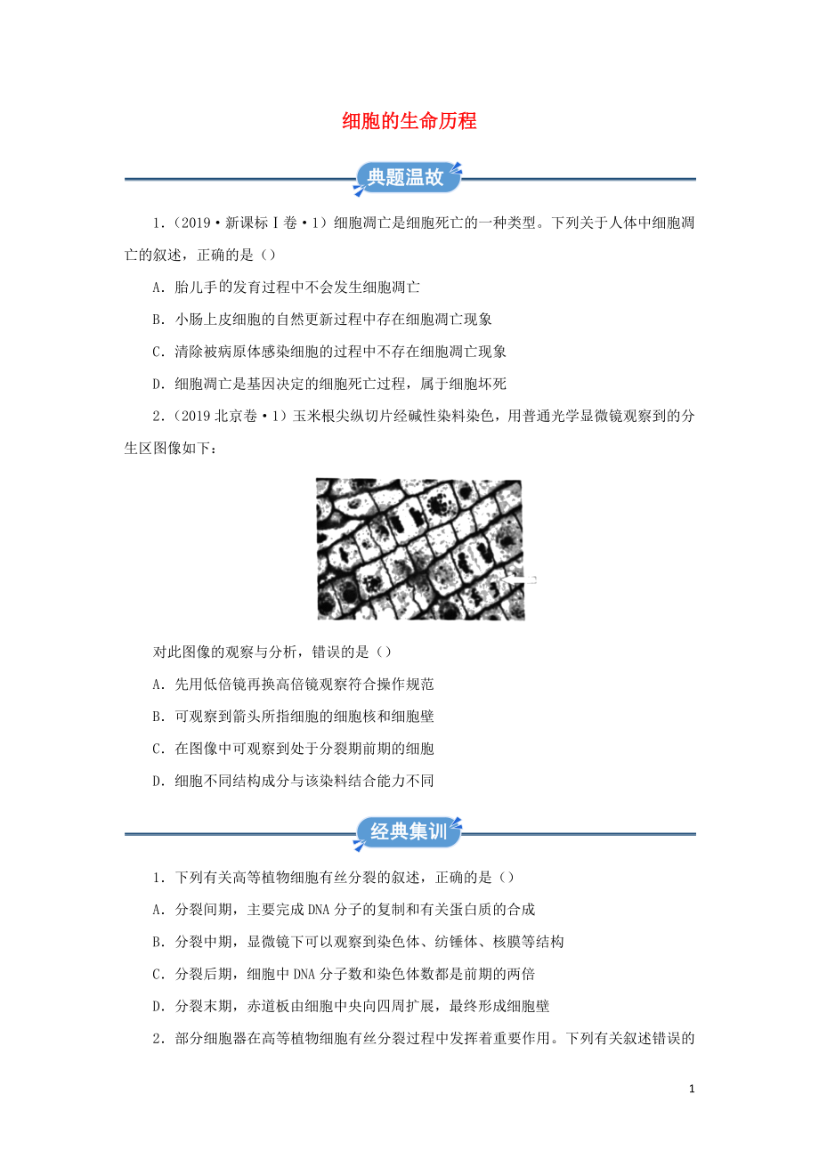 2019-2020学年高中生物 寒假作业精练6 细胞的生命历程（含解析）_第1页