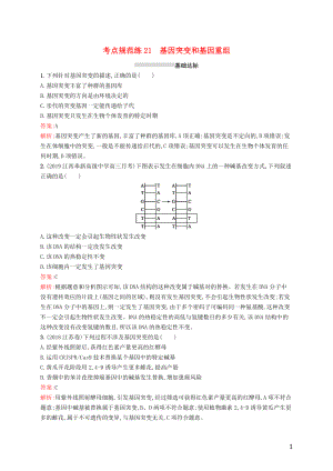 （廣西專用）2021版高考生物一輪復(fù)習(xí) 考點規(guī)范練21 基因突變和基因重組（含解析）新人教版