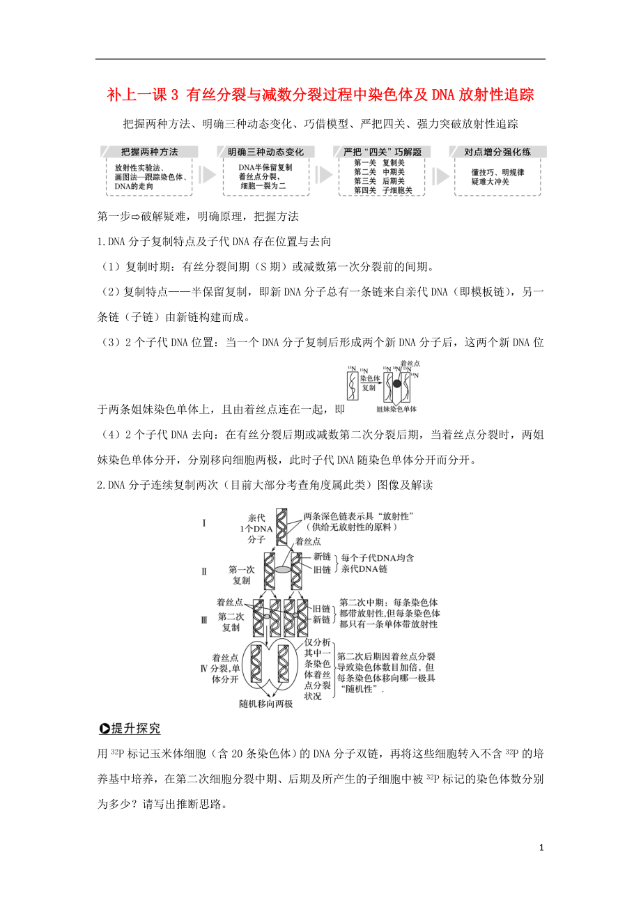 2018屆高考生物一輪復習 補上一課3 有絲分裂與減數(shù)分裂過程中染色體及DNA放射性追蹤學案_第1頁