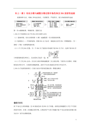 2018屆高考生物一輪復習 補上一課3 有絲分裂與減數(shù)分裂過程中染色體及DNA放射性追蹤學案