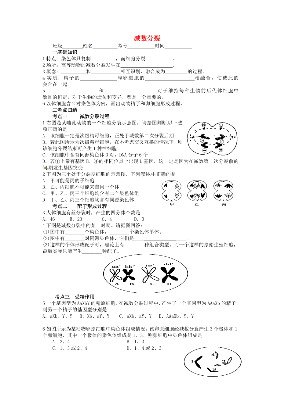 江蘇省大豐市南陽中學2015屆高考生物一輪復習 減數(shù)分裂學案 蘇教版必修2_第1頁