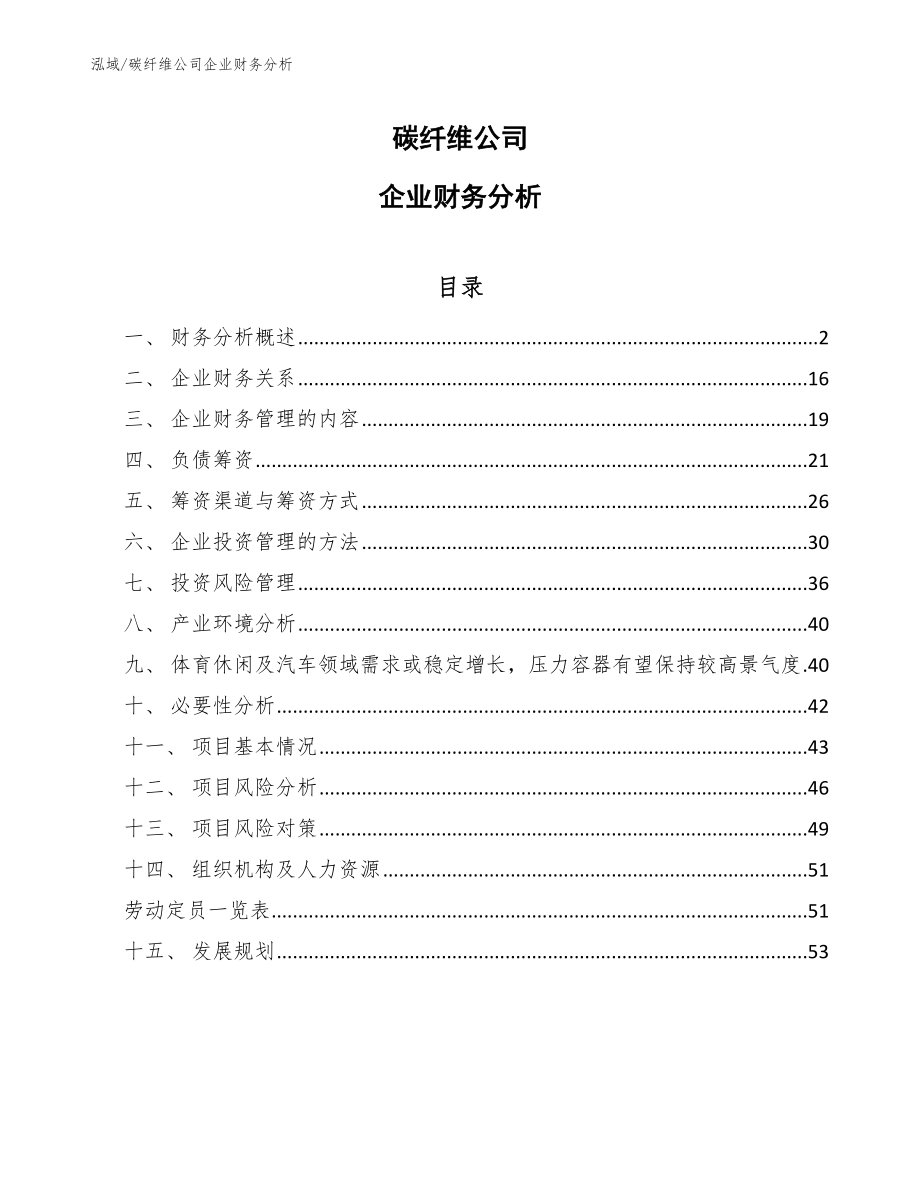 碳纤维公司企业财务分析_第1页