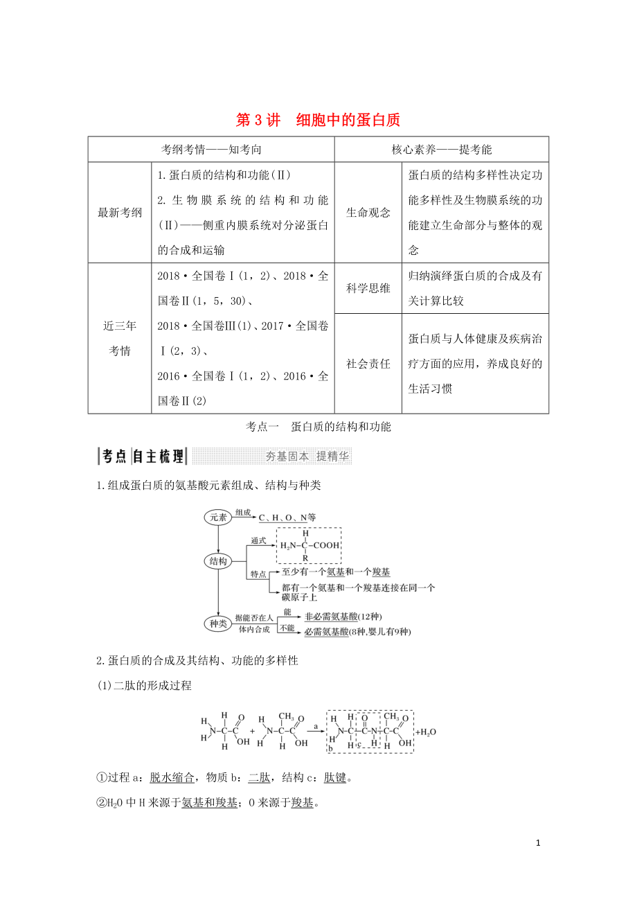 2020版高考生物 第二單元 細胞的自我保障 第3講 細胞中的蛋白質(zhì)學案 中圖版必修1_第1頁