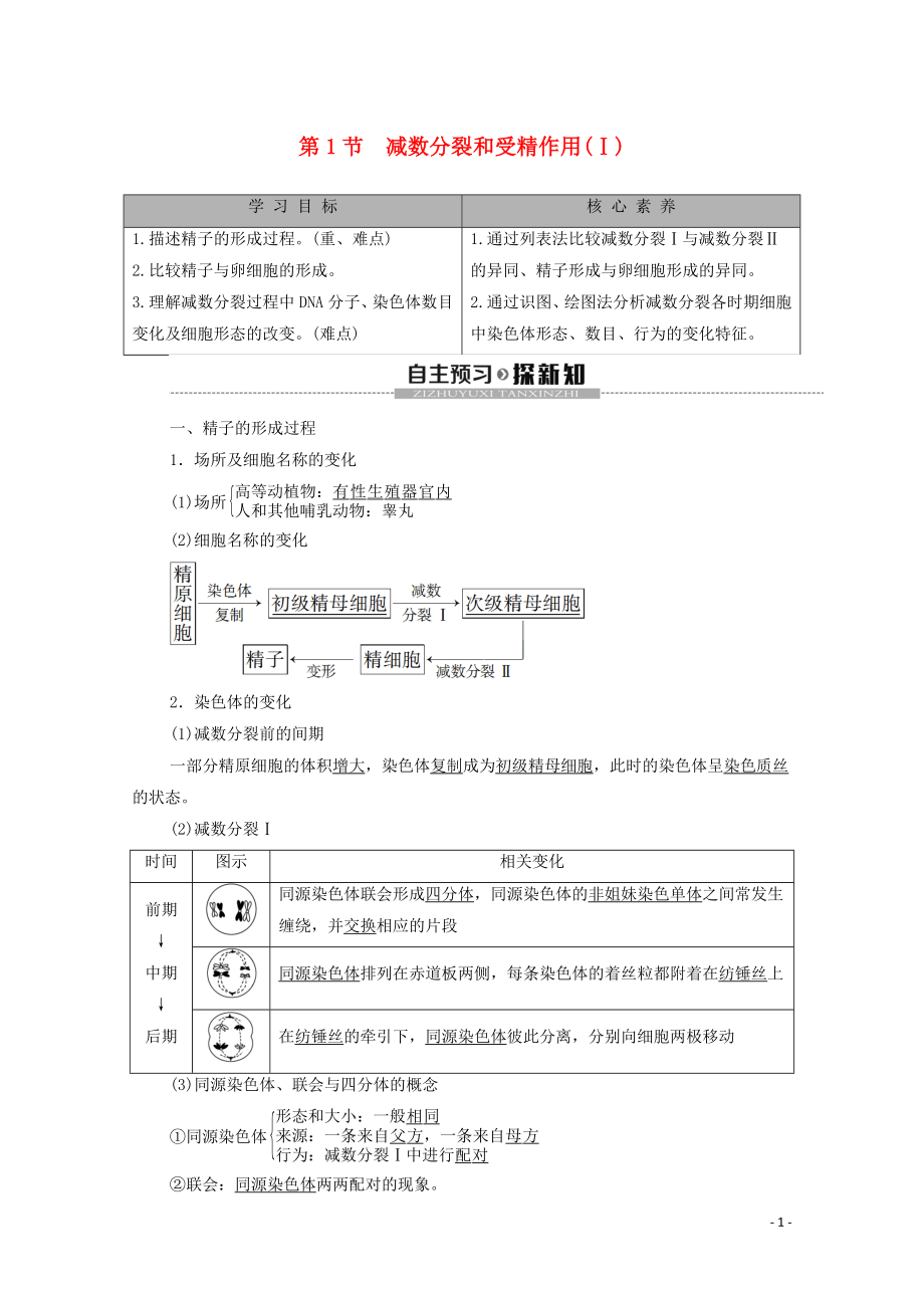 2019-2020學(xué)年新教材高中生物 第2章 基因和染色體的關(guān)系 第1節(jié) 減數(shù)分裂和受精作用（Ⅰ）教學(xué)案 新人教版必修第二冊_第1頁