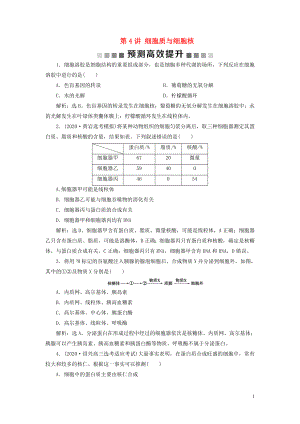 （浙江選考）2021版新高考生物一輪復(fù)習(xí) 專題2 細胞的結(jié)構(gòu) 第4講 細胞質(zhì)與細胞核預(yù)測高效提升 新人教版