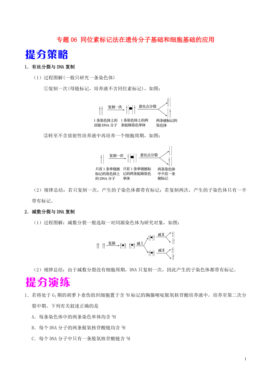 備戰(zhàn)2019年高考生物 熱點(diǎn)題型提分策略 專題06 同位素標(biāo)記法在遺傳分子基礎(chǔ)和細(xì)胞基礎(chǔ)的應(yīng)用學(xué)案_第1頁