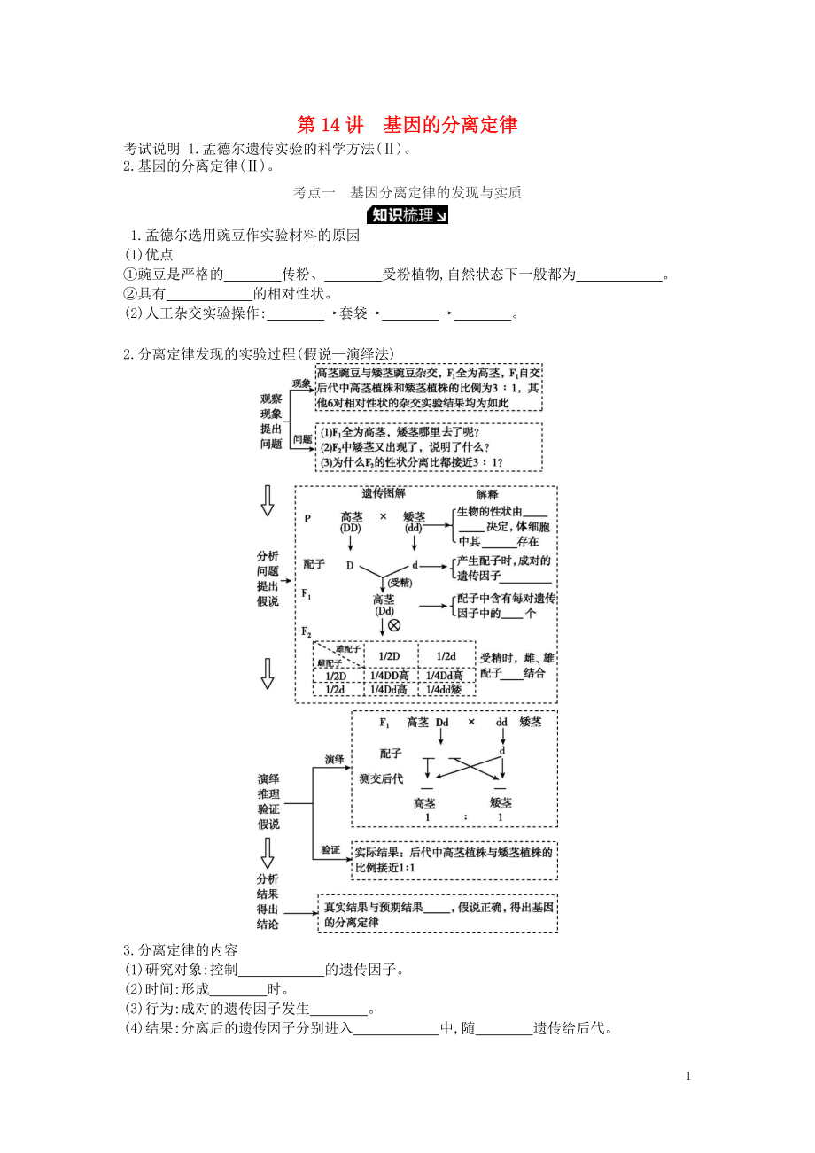 2019版高考生物一輪復(fù)習(xí) 第5單元 遺傳的基本規(guī)律和遺傳的細(xì)胞基礎(chǔ) 第14講 基因的分離定律學(xué)案 蘇教版_第1頁