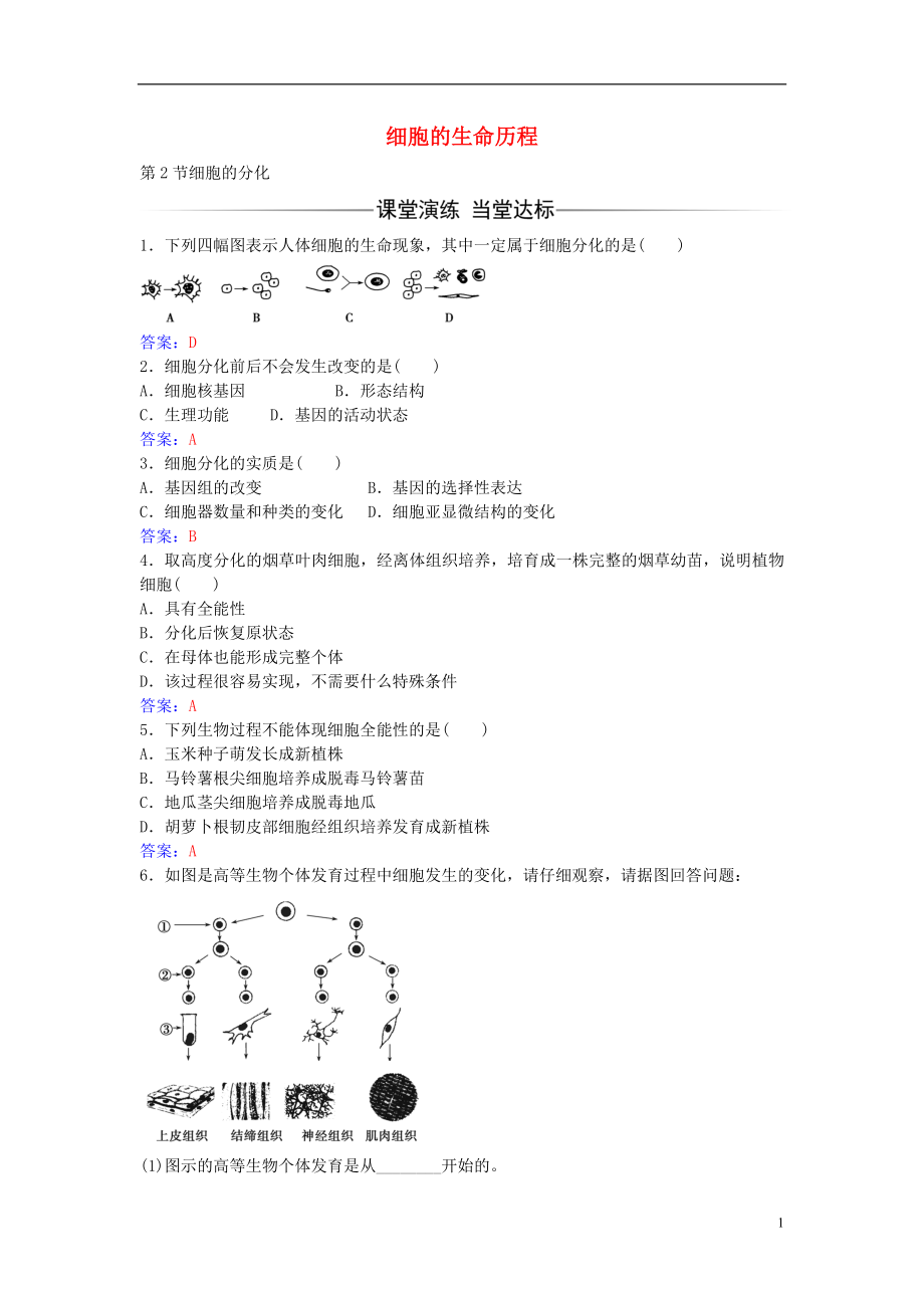 2016年秋高中生物 第6章 第2節(jié) 細(xì)胞的分化練習(xí) 新人教版必修1_第1頁