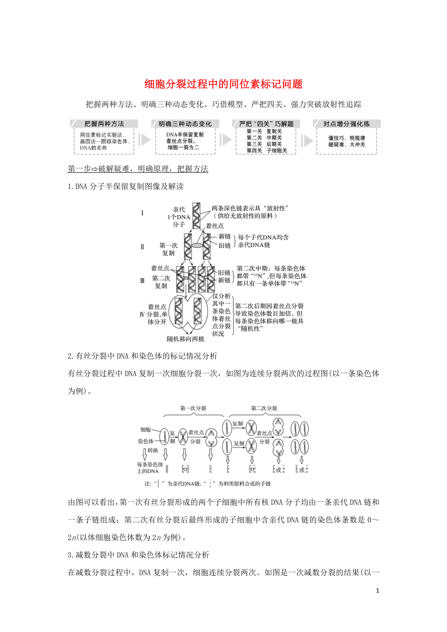 2020版高考生物 第五單元 細(xì)胞的生命歷程 補(bǔ)上一課3 細(xì)胞分裂過程中的同位素標(biāo)記問題學(xué)案 中圖版必修1_第1頁