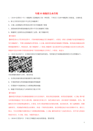 （2010-2019）十年高考生物真題分類匯編 專題05 細(xì)胞的生命歷程（含解析）