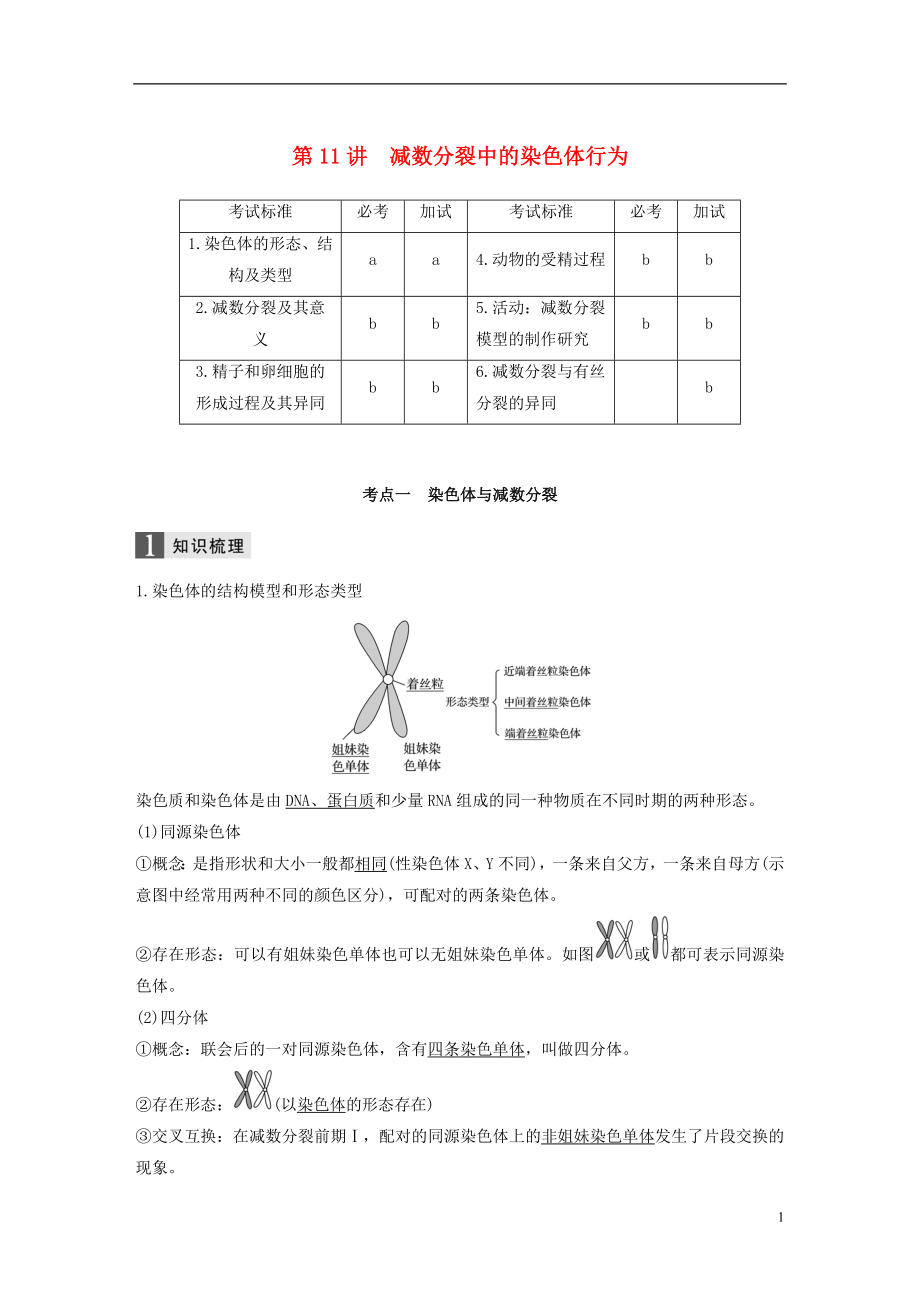 （浙江選考）2019版高考生物一輪總復習 第三單元 細胞的生命歷程 第11講 減數(shù)分裂中的染色體行為學案_第1頁