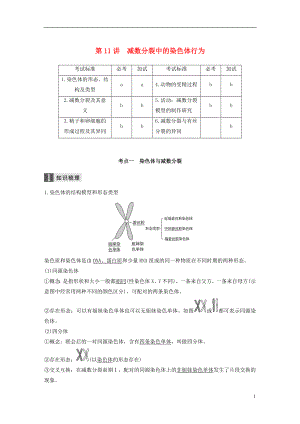 （浙江選考）2019版高考生物一輪總復(fù)習(xí) 第三單元 細(xì)胞的生命歷程 第11講 減數(shù)分裂中的染色體行為學(xué)案