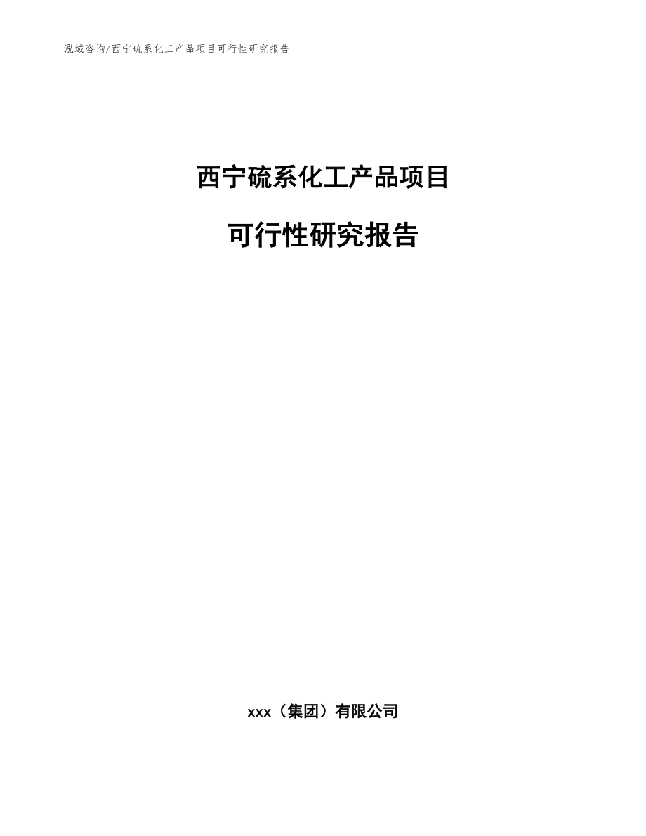 西宁硫系化工产品项目可行性研究报告_第1页