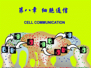 生物细胞第八章细胞通信课件