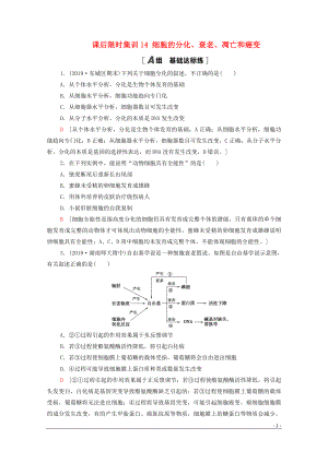 2021高考生物一輪復(fù)習 課后限時集訓14 細胞的分化、衰老、凋亡和癌變 新人教版