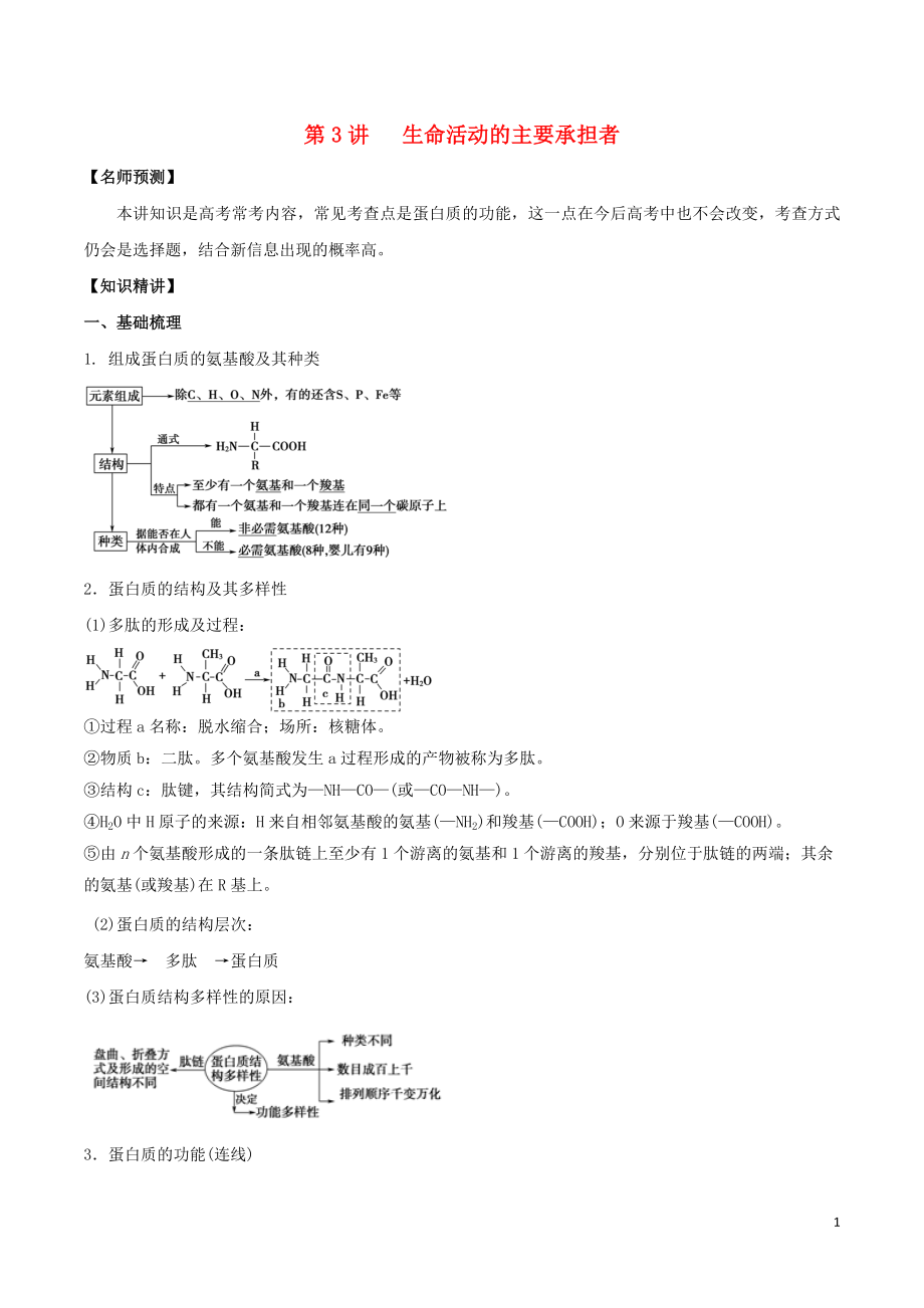 山東省2020年高考生物一輪復(fù)習 考點掃描 專題03 生命活動的主要承擔者（含解析）_第1頁