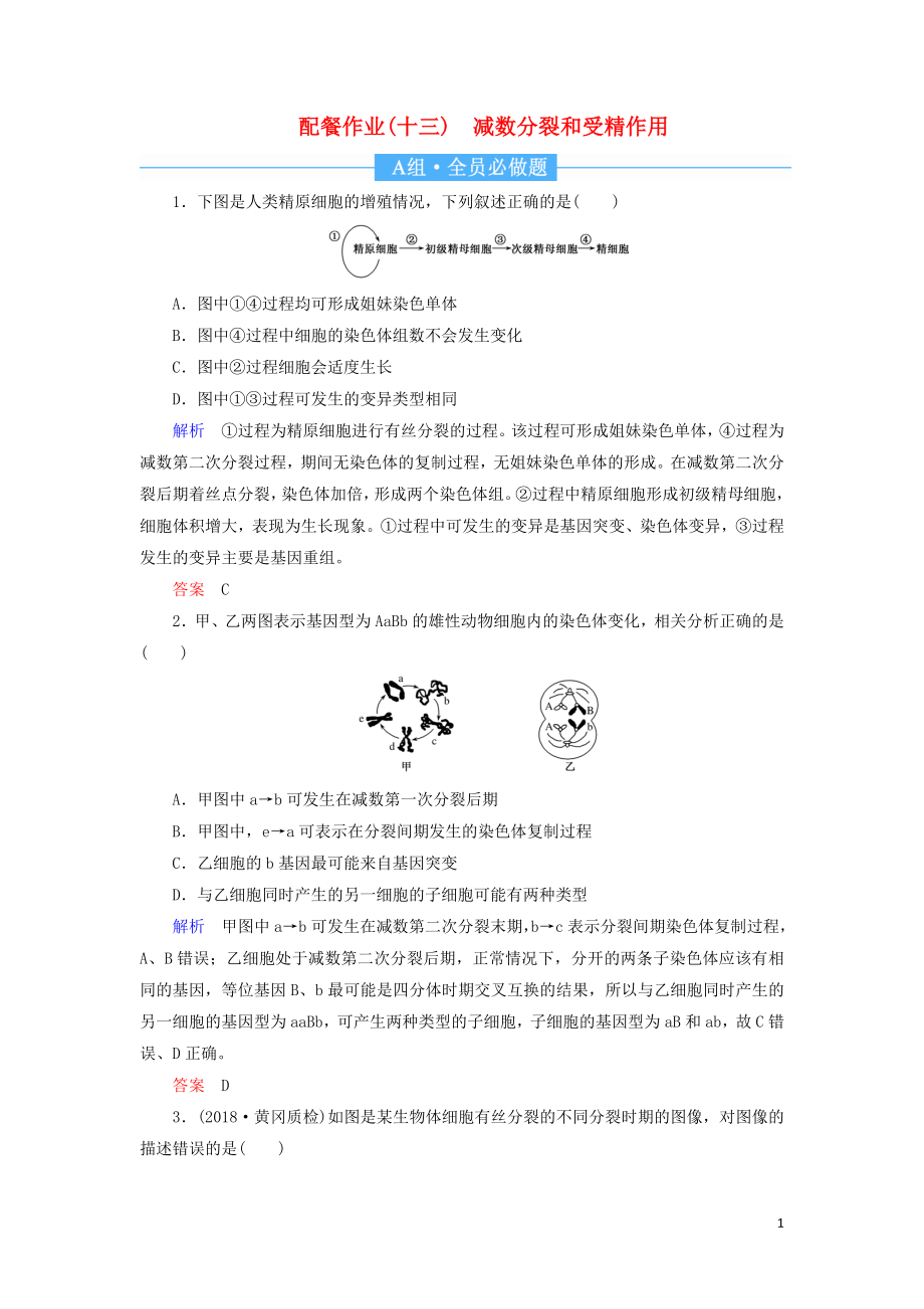 2020高考生物一輪復(fù)習(xí) 配餐作業(yè)13 減數(shù)分裂和受精作用（含解析）_第1頁