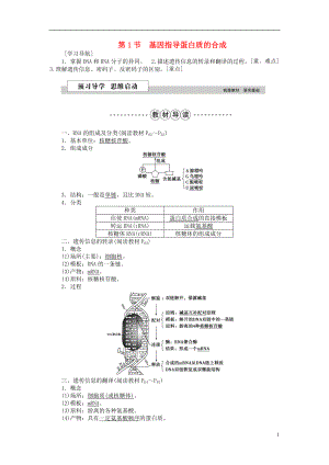 優(yōu)化方案2016版高中生物 第四章 基因的表達(dá) 第1節(jié) 基因指導(dǎo)蛋白質(zhì)的合成學(xué)案 新人教版必修2