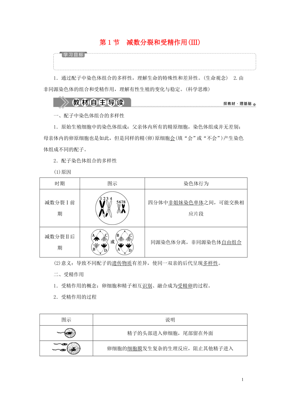 2019-2020學(xué)年新教材高中生物 第2章 基因和染色體的關(guān)系 第1節(jié) 減數(shù)分裂和受精作用（Ⅲ）學(xué)案 新人教版必修第二冊(cè)_第1頁