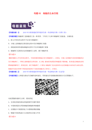 2019年高考生物 母題題源系列 專題05 細(xì)胞的生命歷程（含解析）