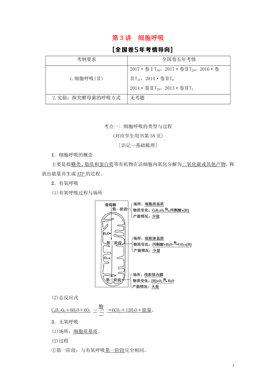 2019版高考生物一輪復(fù)習(xí) 第3單元 光合作用和細(xì)胞呼吸 第3講 細(xì)胞呼吸學(xué)案 蘇教版_第1頁