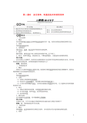 高中生物 第四章 第二節(jié) 生物變異在生產(chǎn)上的應(yīng)用 第一課時學(xué)案 浙科版必修2