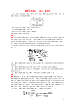 （天津?qū)Ｓ茫?020高考生物二輪復(fù)習(xí) 題型專項(xiàng)訓(xùn)練1 圖示、圖解類（含解析）