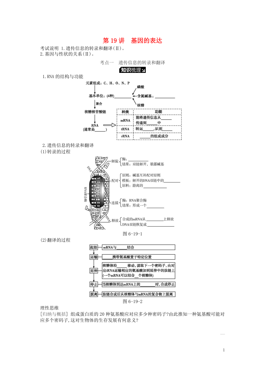 2019版高考生物一輪復(fù)習(xí) 第6單元 遺傳的分子基礎(chǔ) 第19講 基因的表達(dá)學(xué)案 蘇教版_第1頁(yè)